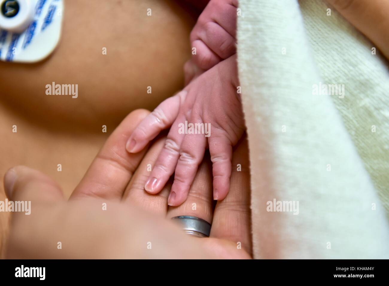 Newborn infant baby hands Stock Photo