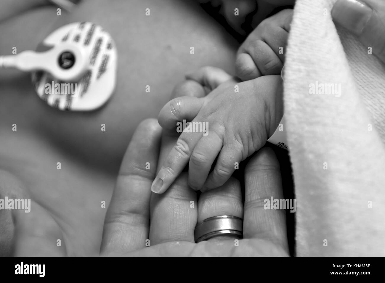 Newborn infant baby hands Stock Photo