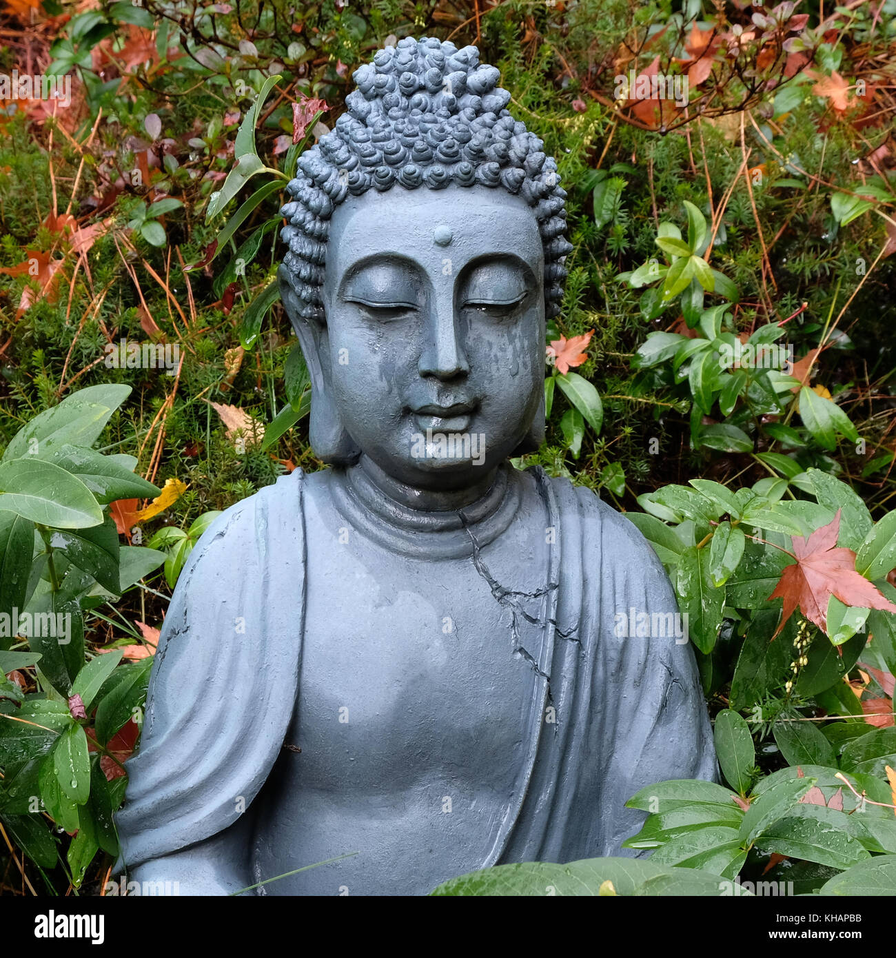 Close up of Buddha statue in lush garden with raindrops on face Stock