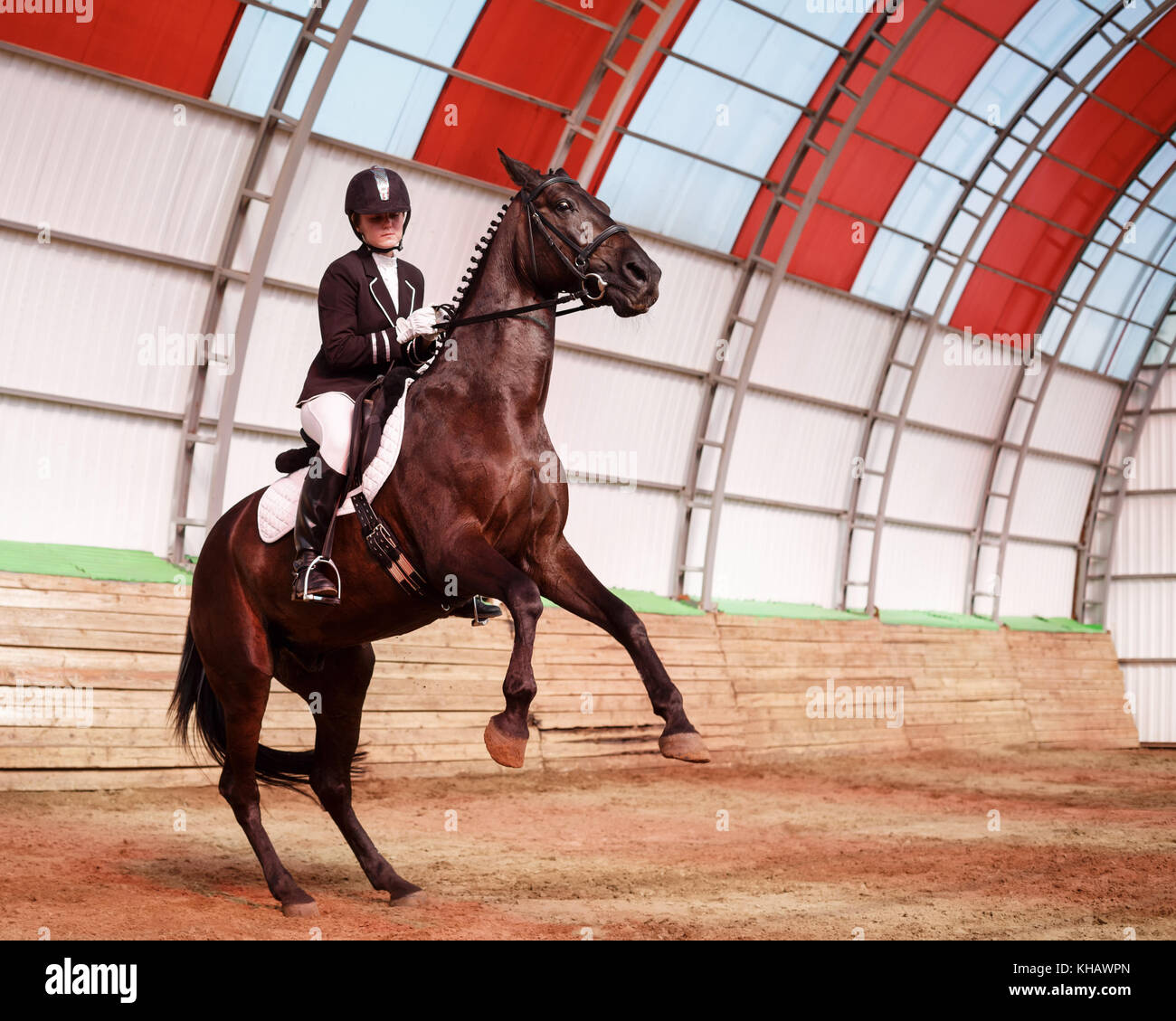 A sweet girl jockey rides a horse in a covered arena. Training candles, stand on hind legs. A
