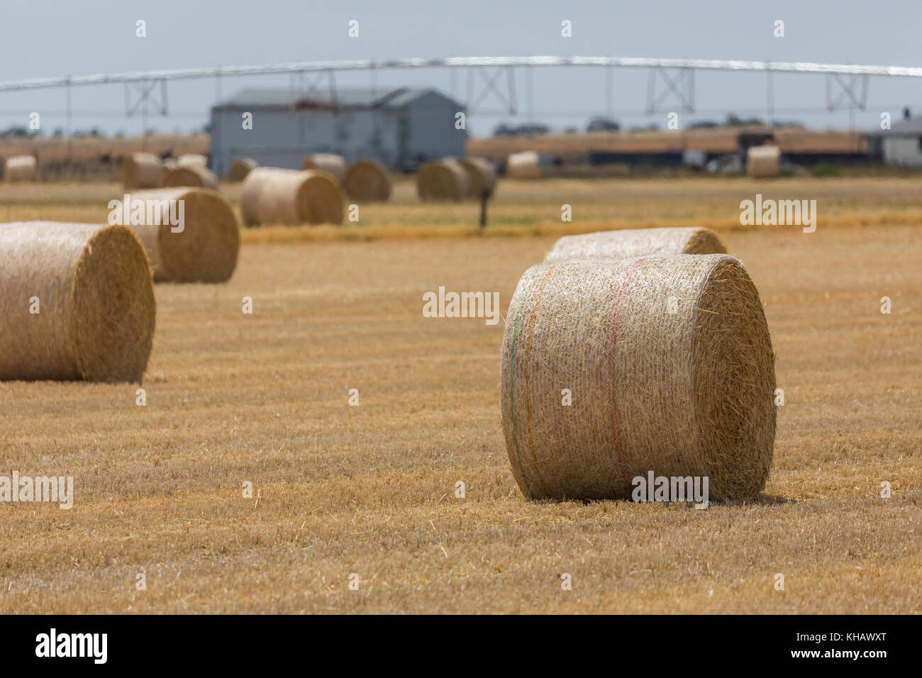 Hay bales in country South Australia Stock Photo