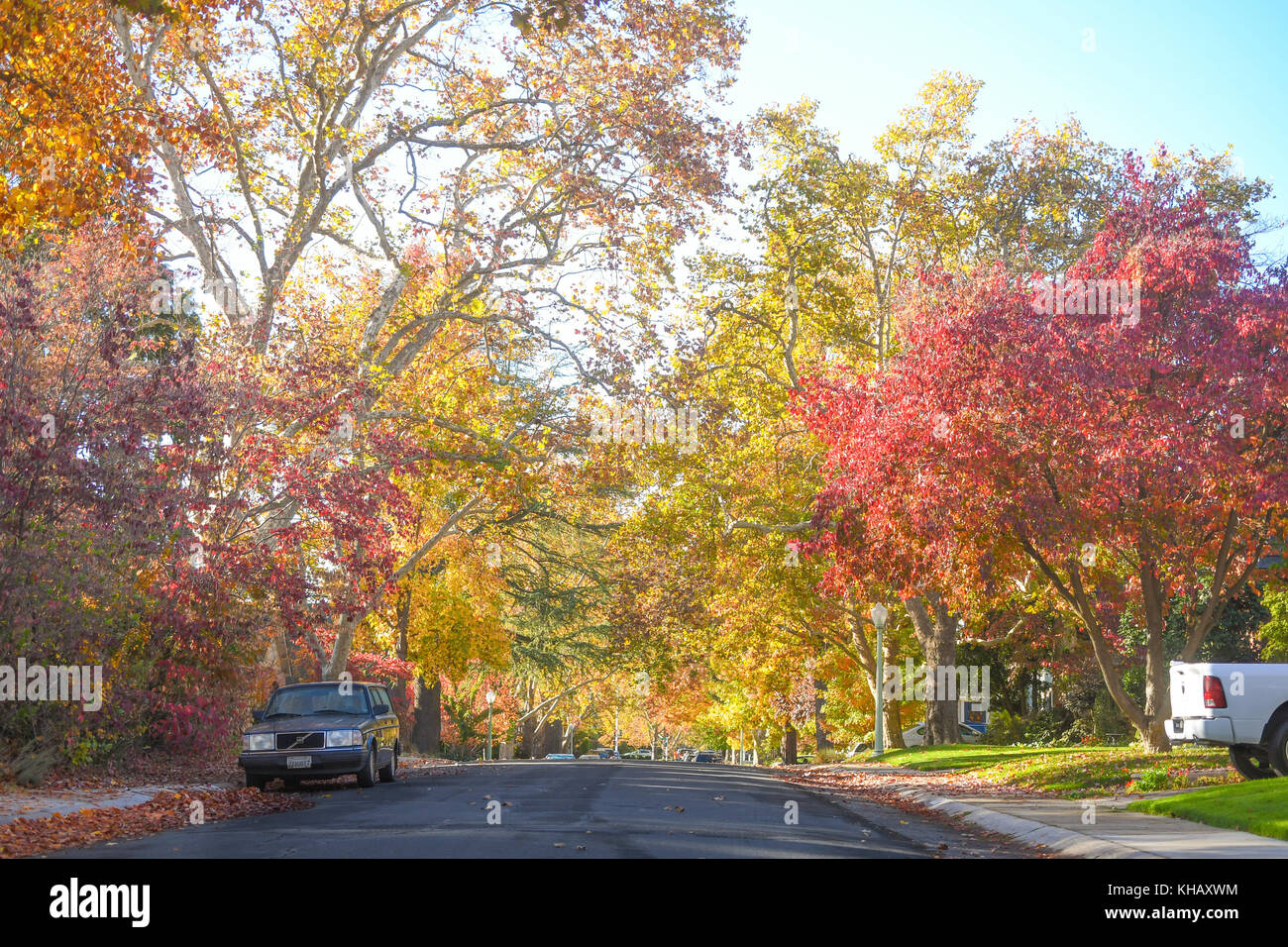 A street with bright red and yellow trees, the fall leaves turning