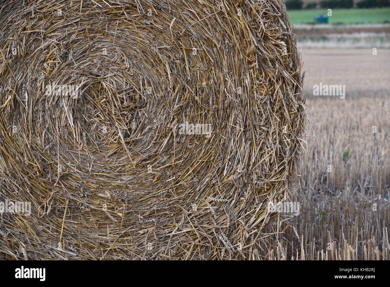 Round straw hay bale in field in Norfolk, England Stock Photo