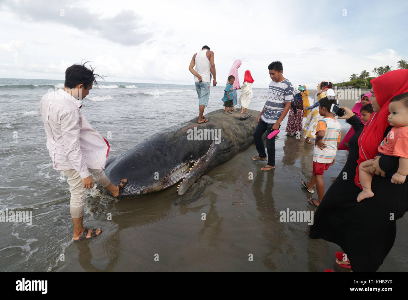 Beach public sperm — img 2