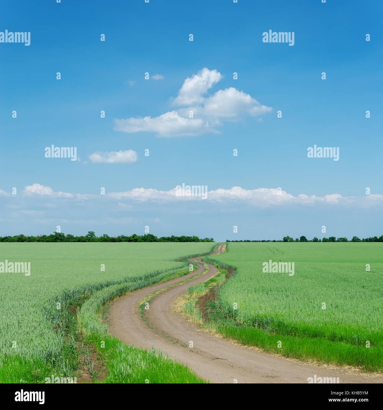 winding dirty road in green fields and blue sky Stock Photo - Alamy