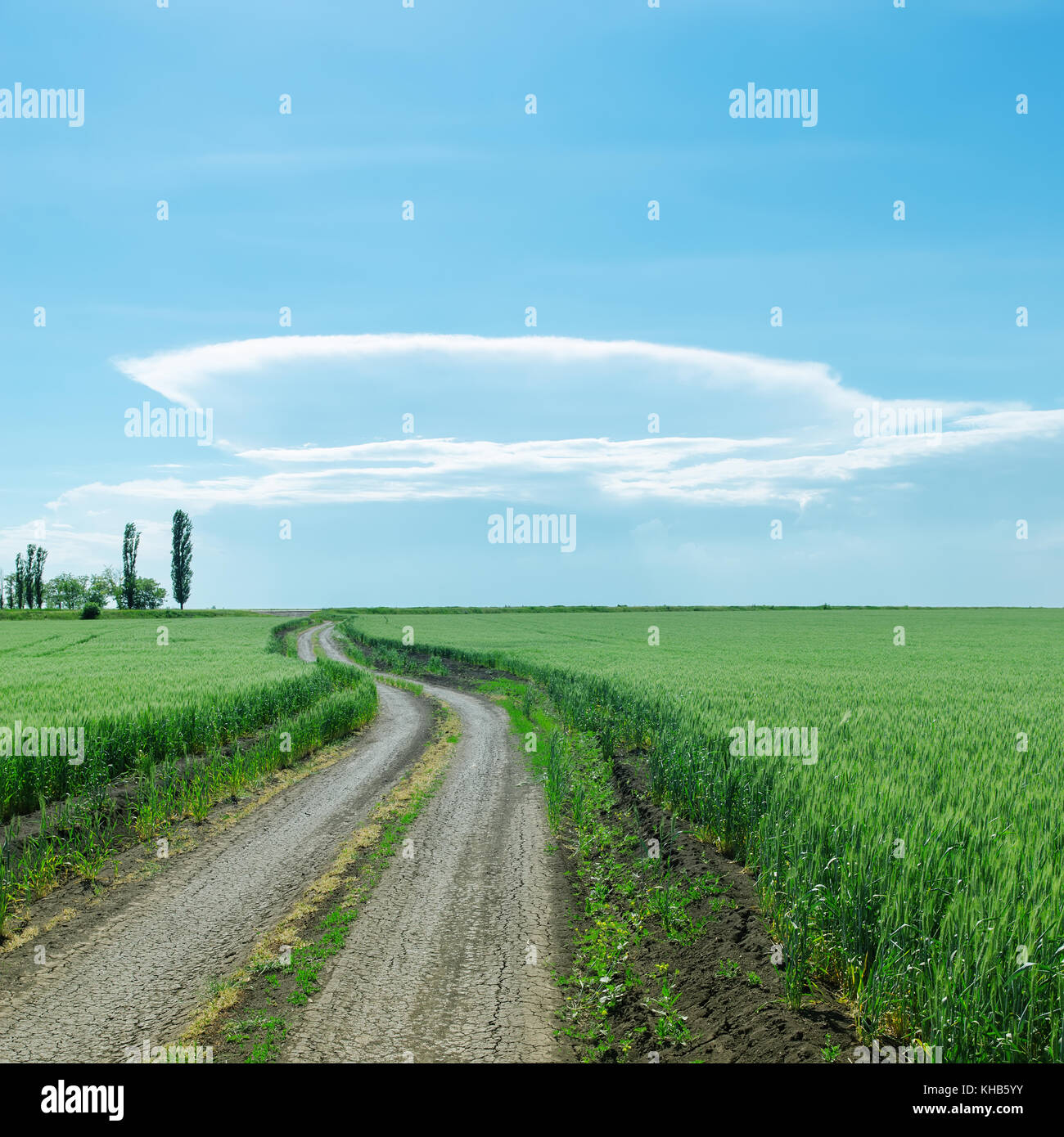 dirty road to horizon in spring fields and big cloud on sky Stock Photo ...