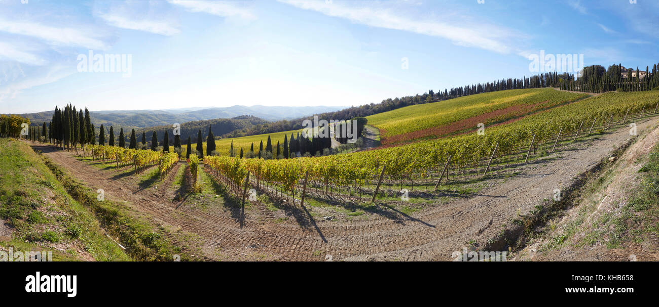 Panoramic view of the vineyards of the Castello di Albola estate in the Chianti region, Tuscany, Italy. Stock Photo