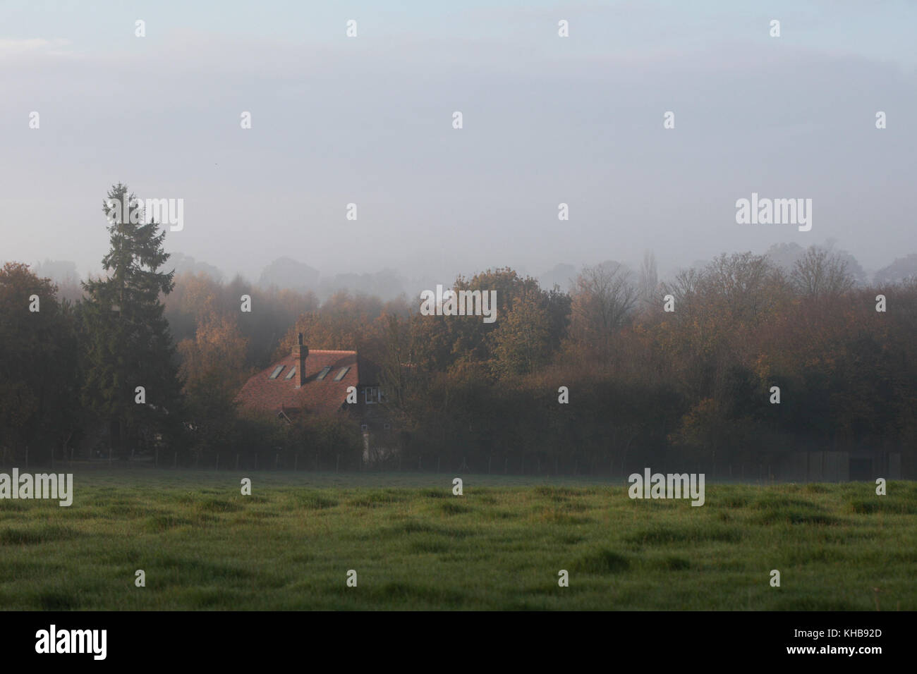 Ashford, Kent, UK. 15th Nov, 2017. Foggy in rural Kent this morning. This small village near Ashford is surrounded by beautiful forest and home to Hamstreet Woods National Nature Reserve. Photo Credit: Paul Lawrenson/Alamy Live News Stock Photo