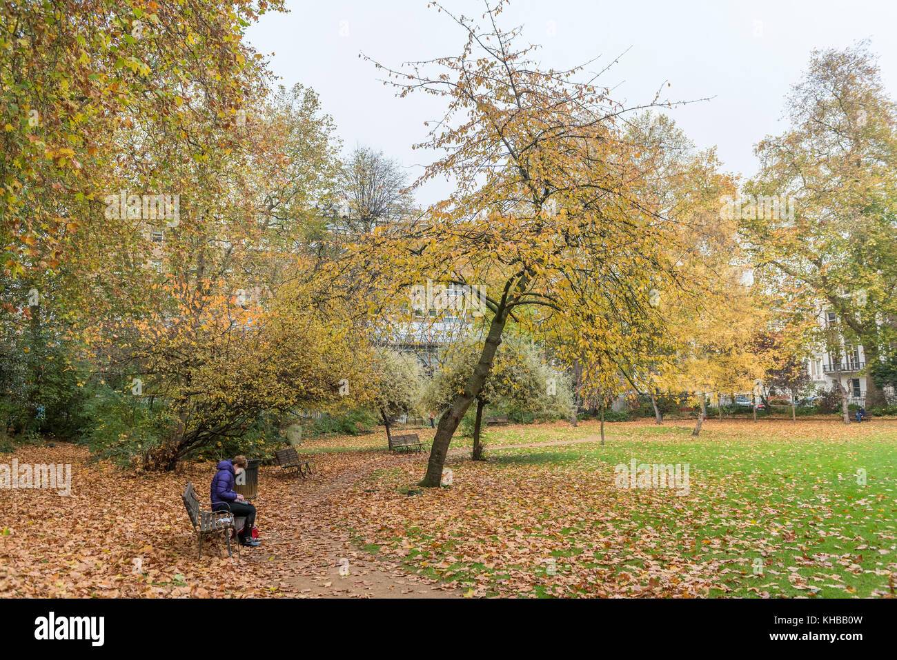 London, UK. 15 November 2017. UK Weather. Autumnal colours in Gordon