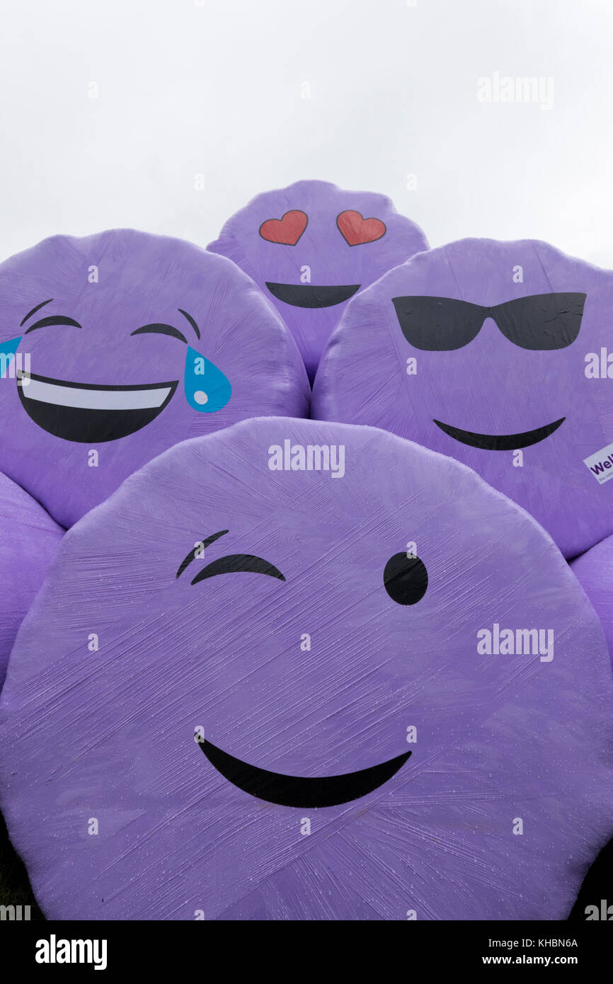 Happy faces on silage bales, Scotland Stock Photo