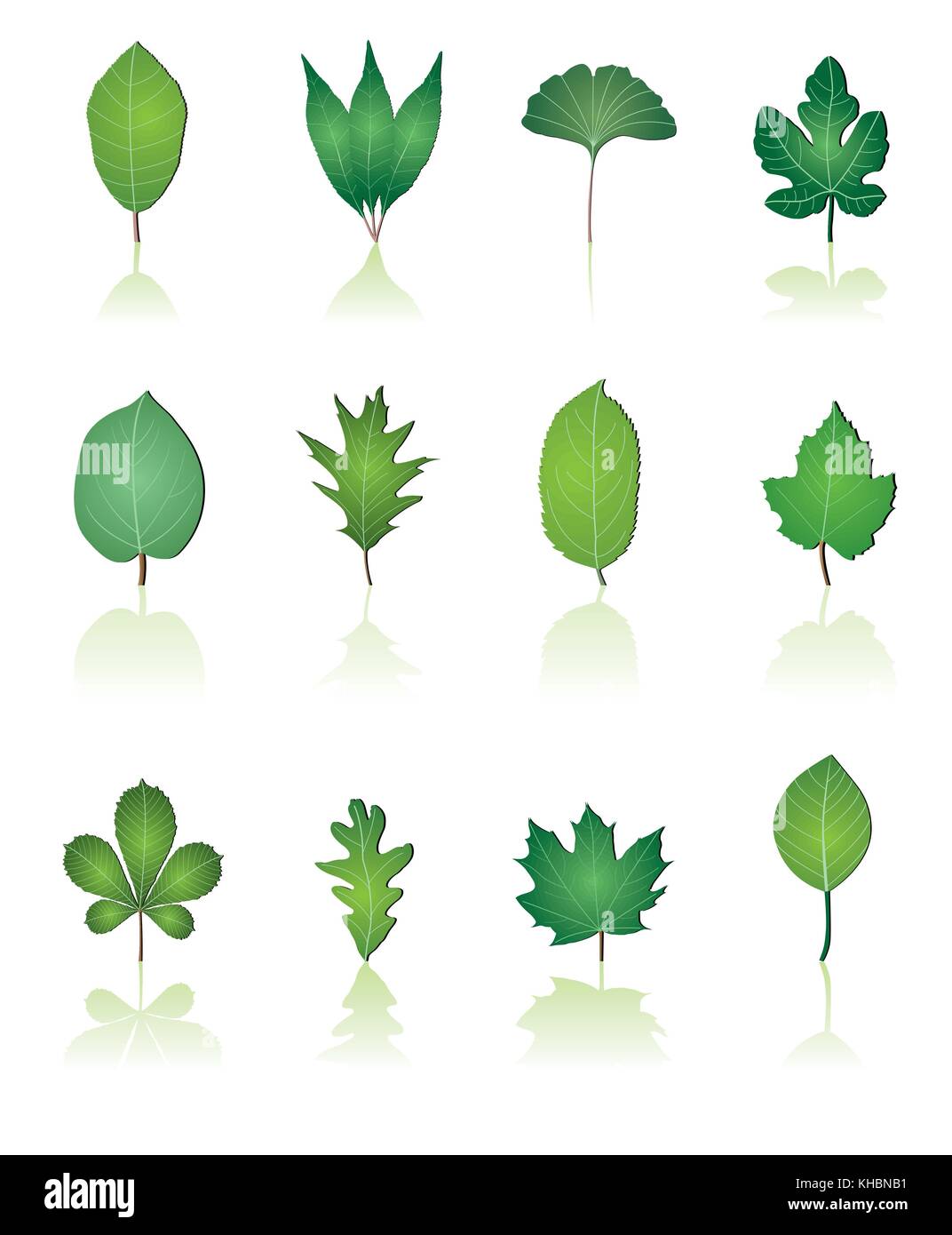 tree leafs and nature icons - vector icon set Stock Vector Image & Art ...