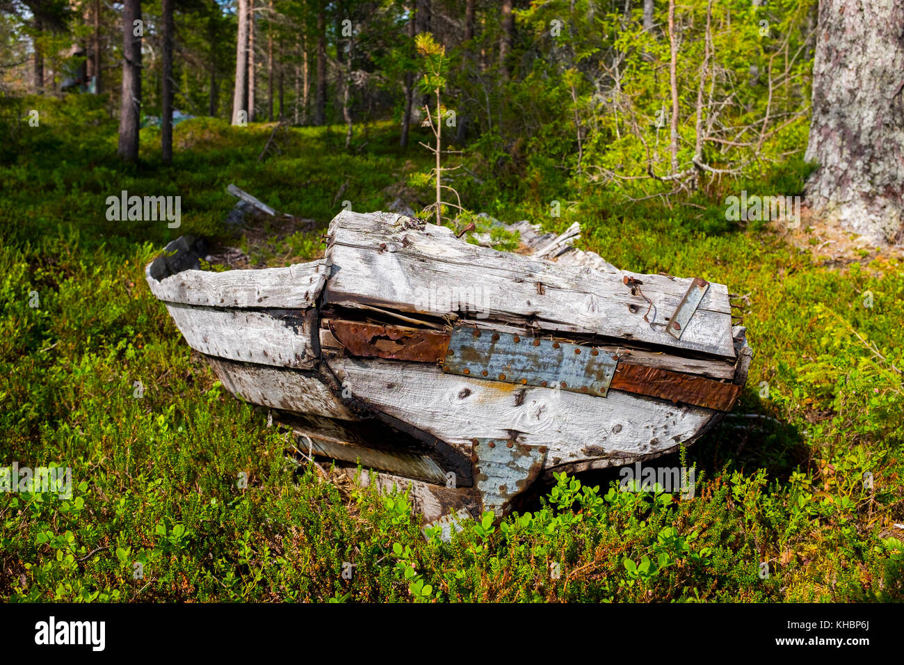 A abandoned raft in the woods in northern sweden Stock Photo