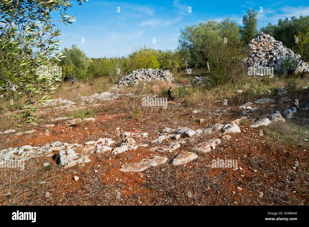 Countrysides over the Hills of Puglia. Stock Photo