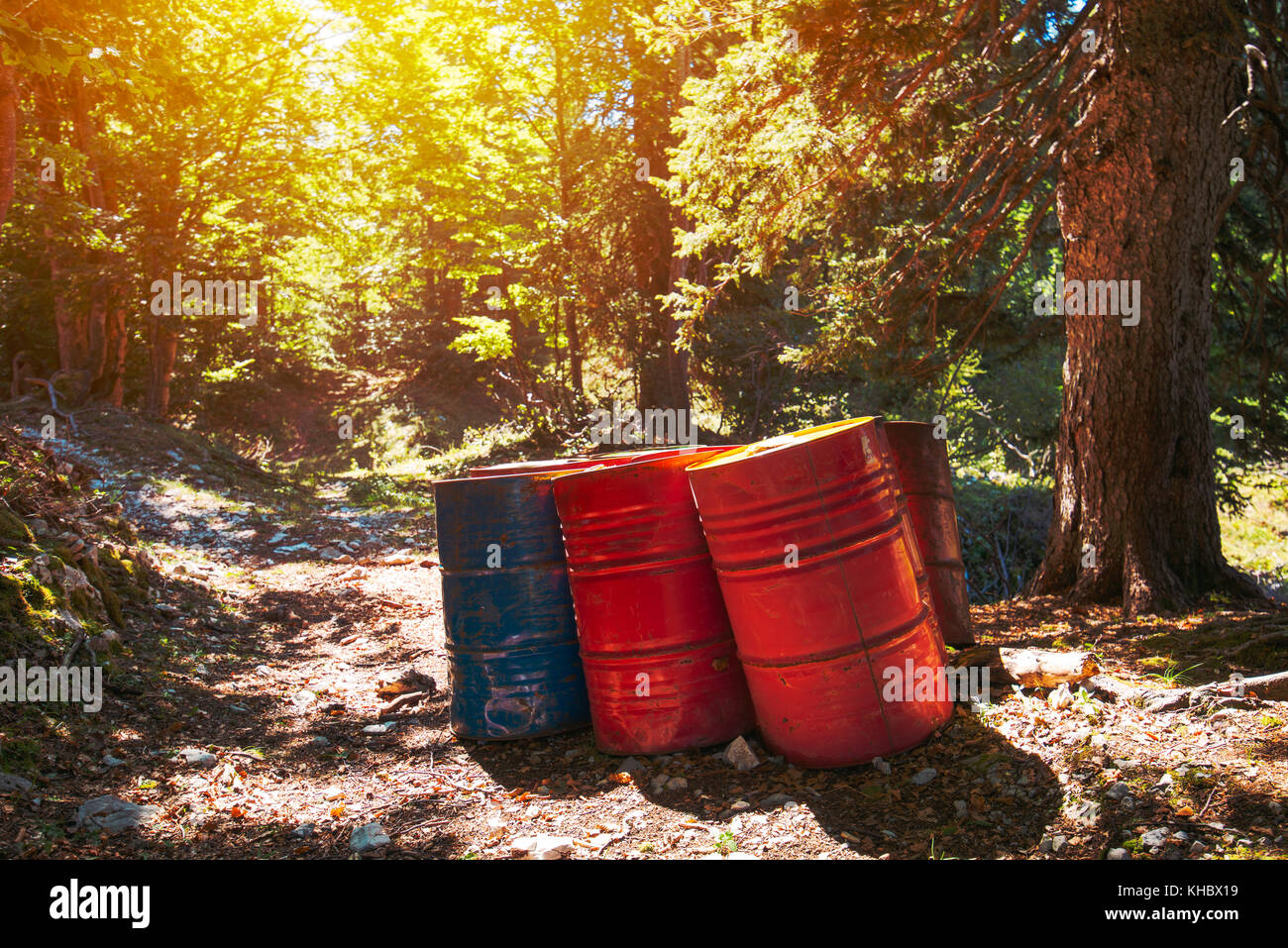 Toxic waste barrels in the forest, environmental issue and ecology