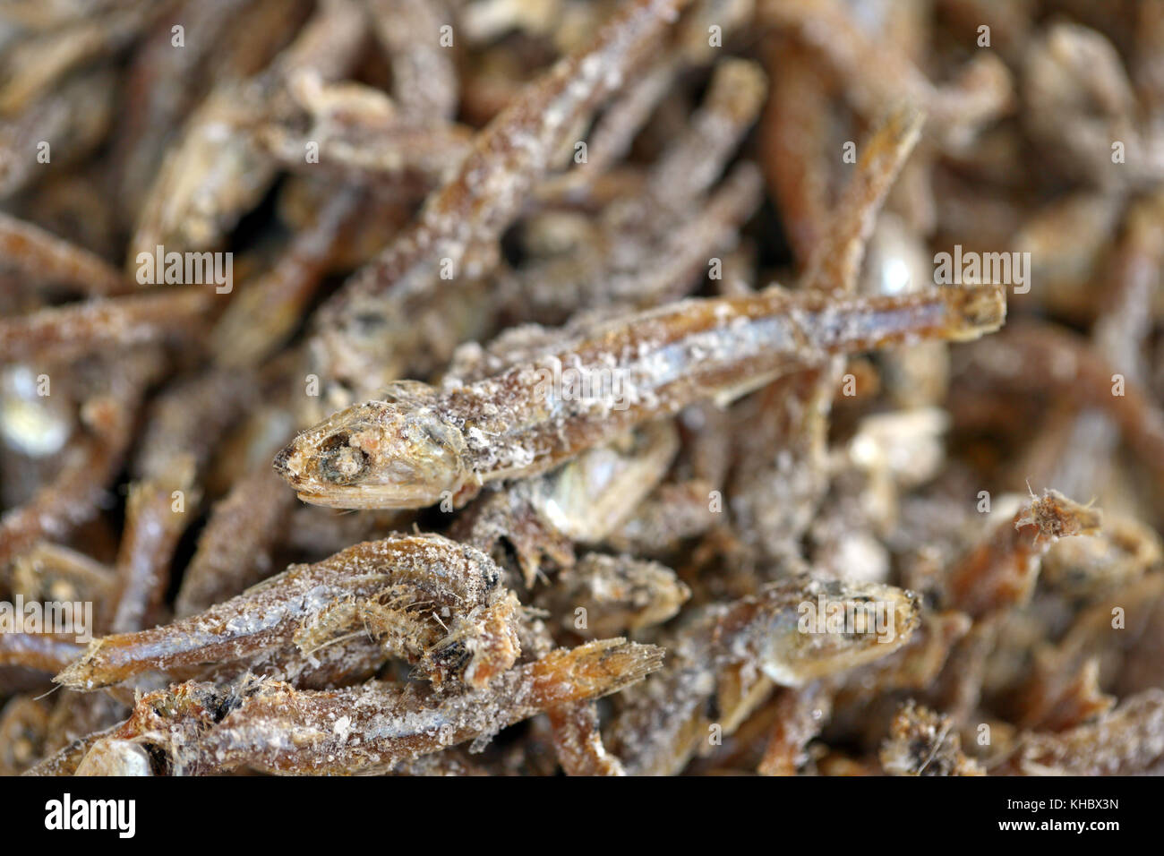 Dried anchovies used in cooking Stock Photo