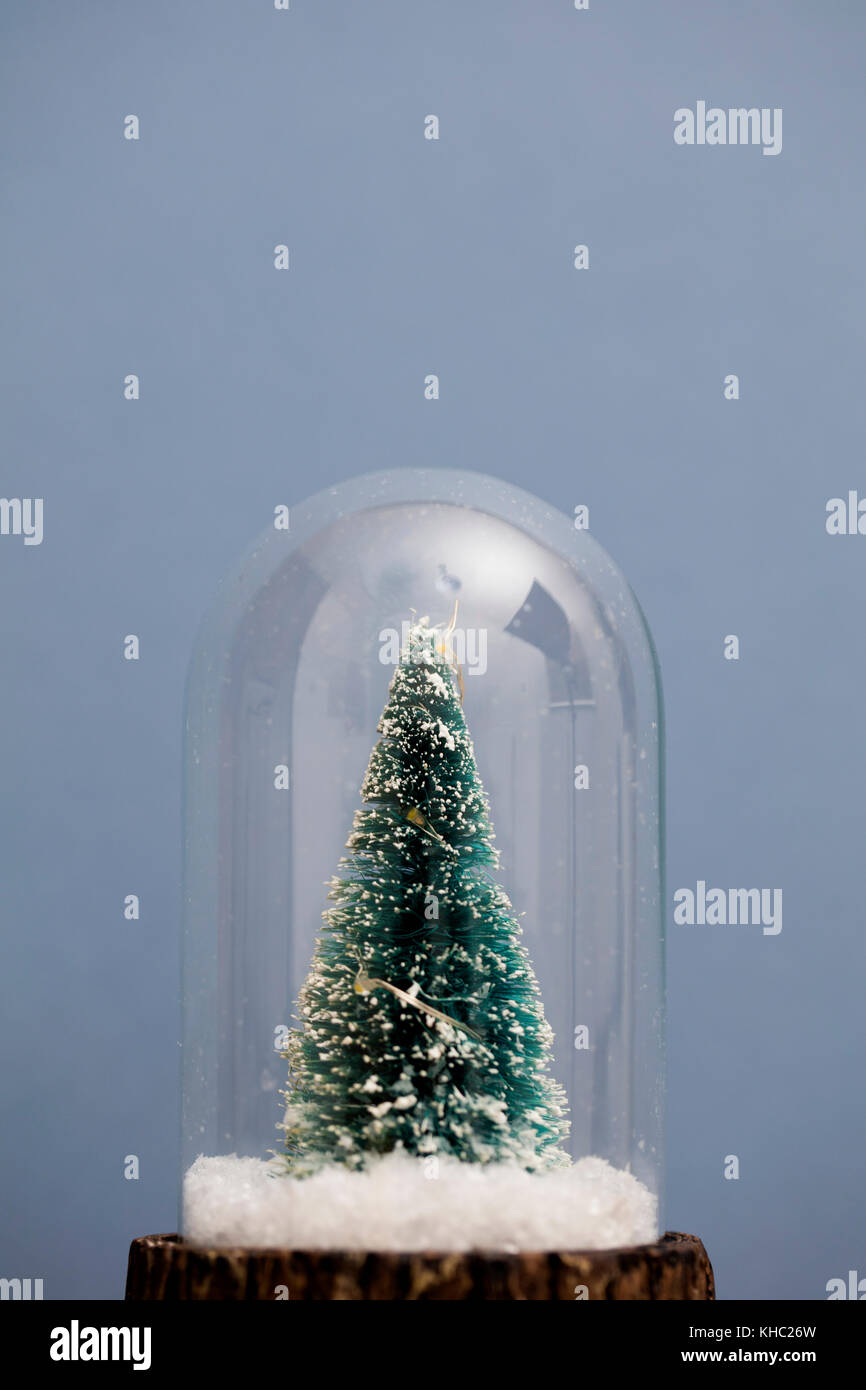 Festive christmas scene. Christmas tree inside a glass snowglobe Stock Photo