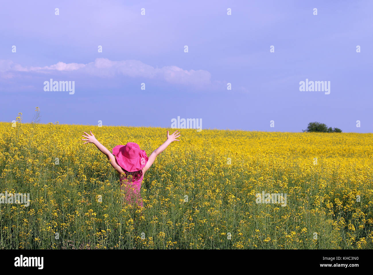 Child with hands up on yellow field summer season Stock Photo - Alamy