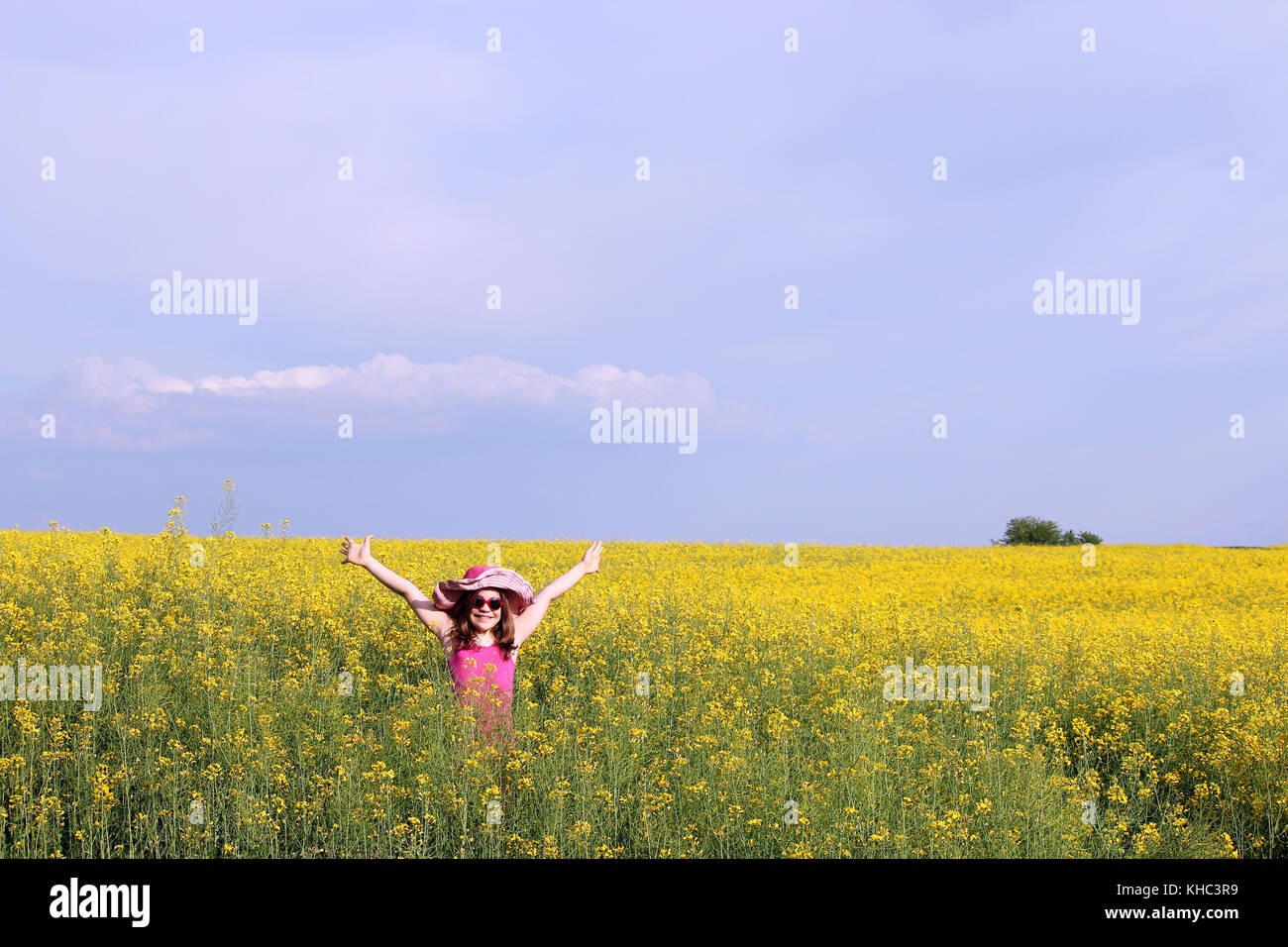 happy little girl with hands up on yellow flower field Stock Photo - Alamy