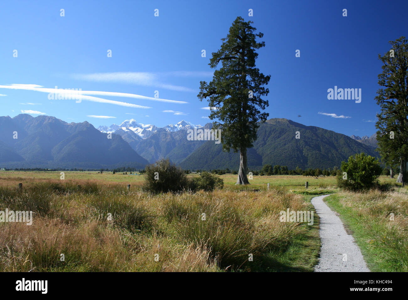 Stunning lake on New Zealand's South Island Stock Photo - Alamy