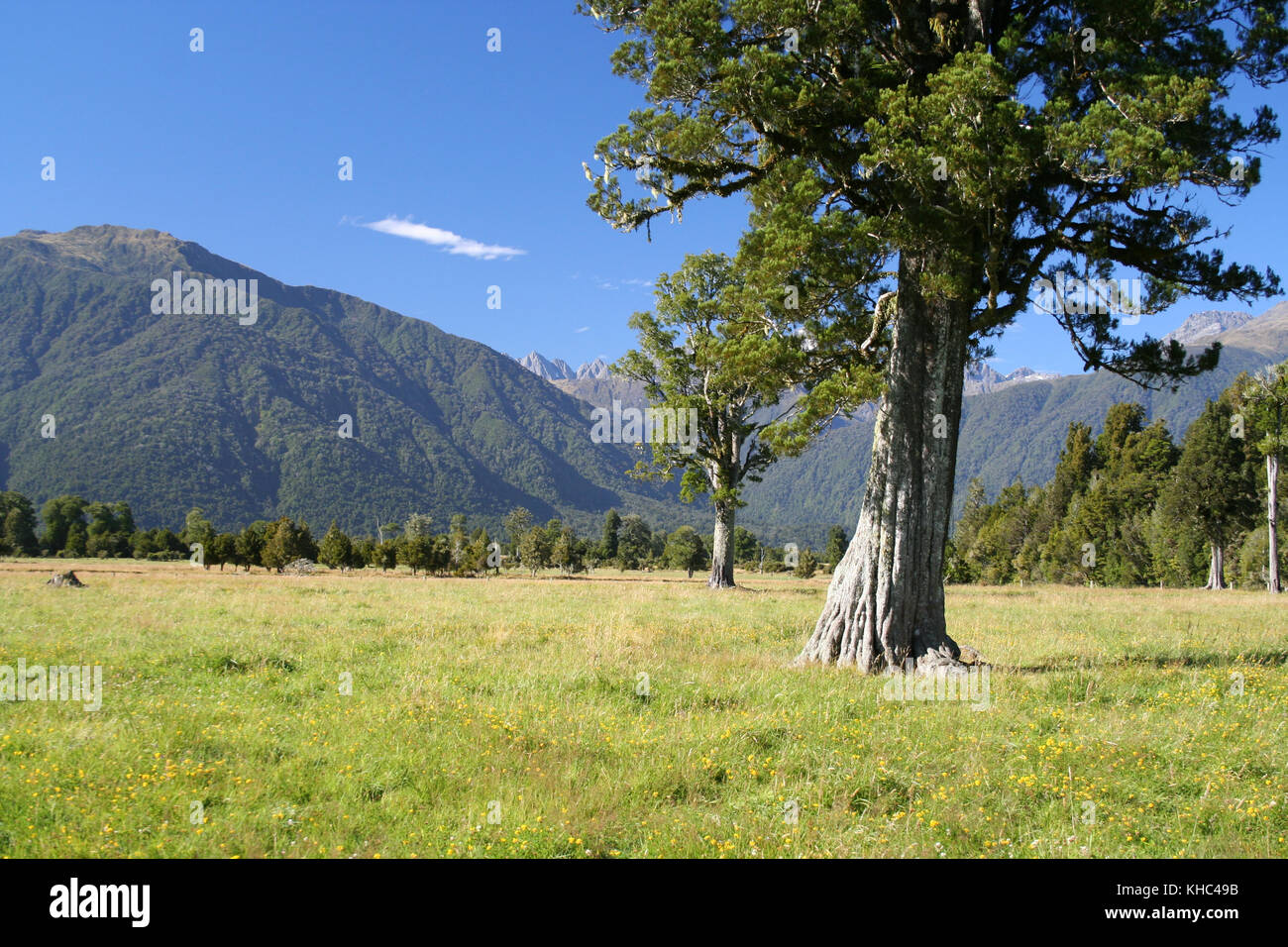 Stunning lake on New Zealand's South Island Stock Photo - Alamy