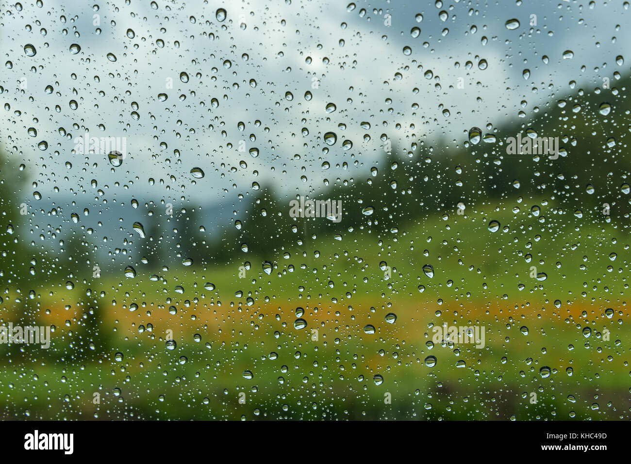 View of the mountain landscape with forest, meadow and flowers through ...