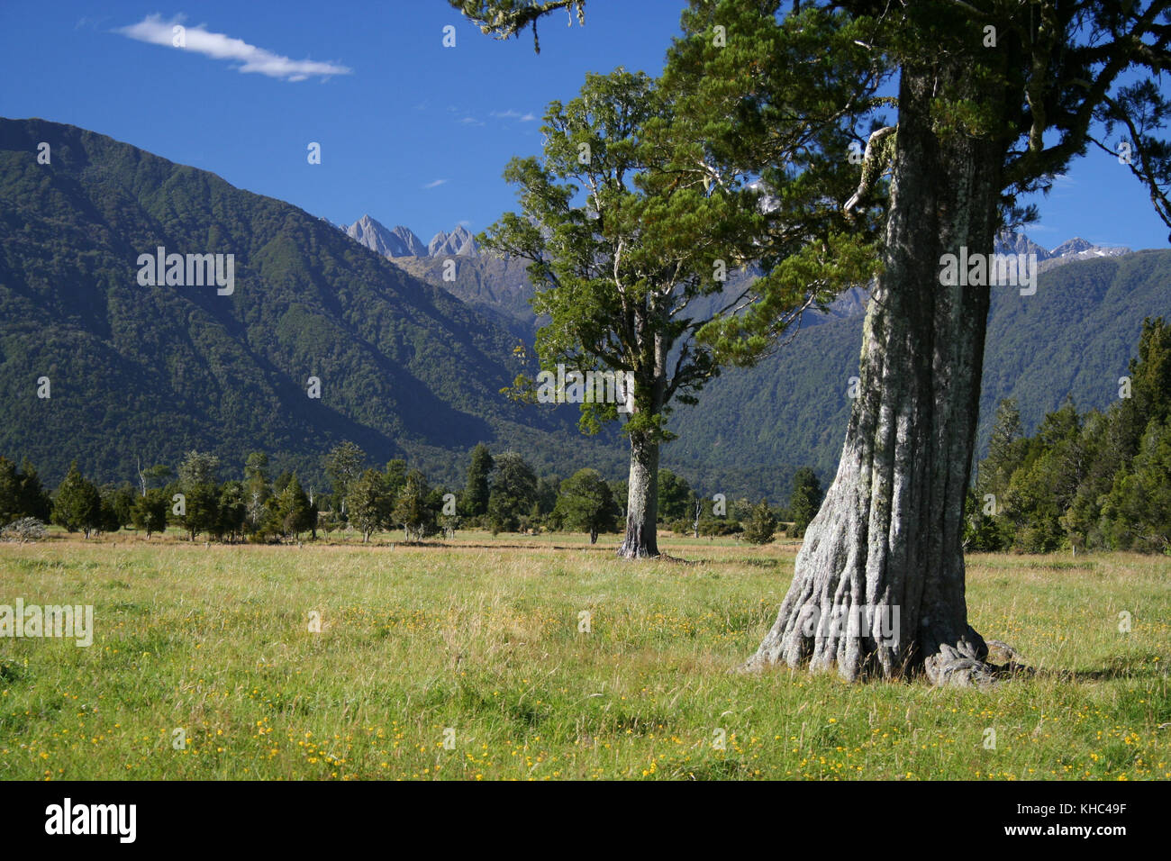 Stunning lake on New Zealand's South Island Stock Photo - Alamy