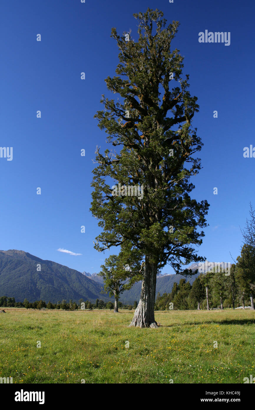Stunning lake on New Zealand's South Island Stock Photo - Alamy
