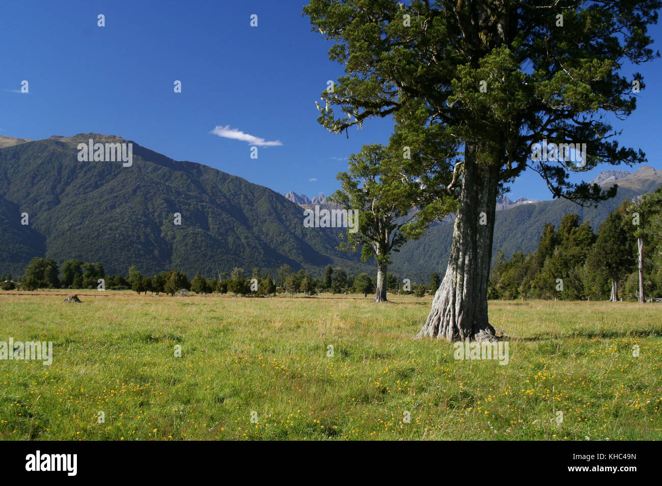 Stunning lake on New Zealand's South Island Stock Photo - Alamy