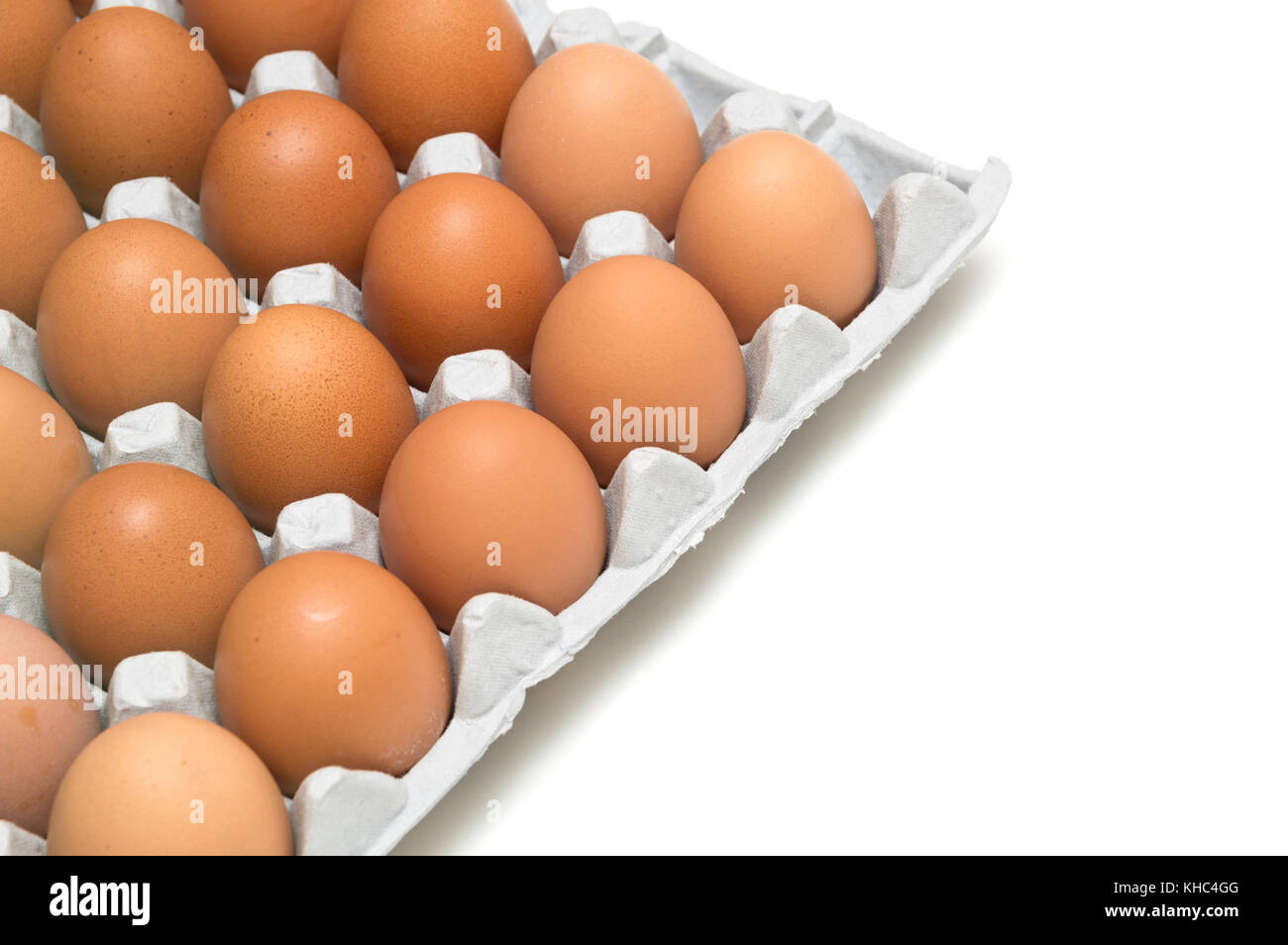 egg isolated on white background Stock Photo