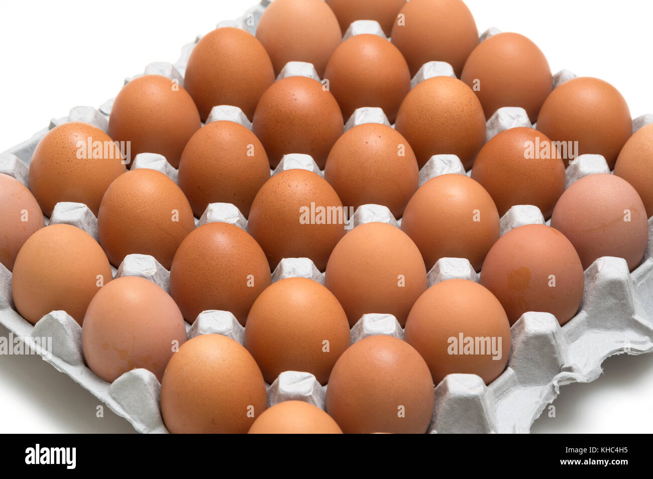 egg isolated on white background Stock Photo