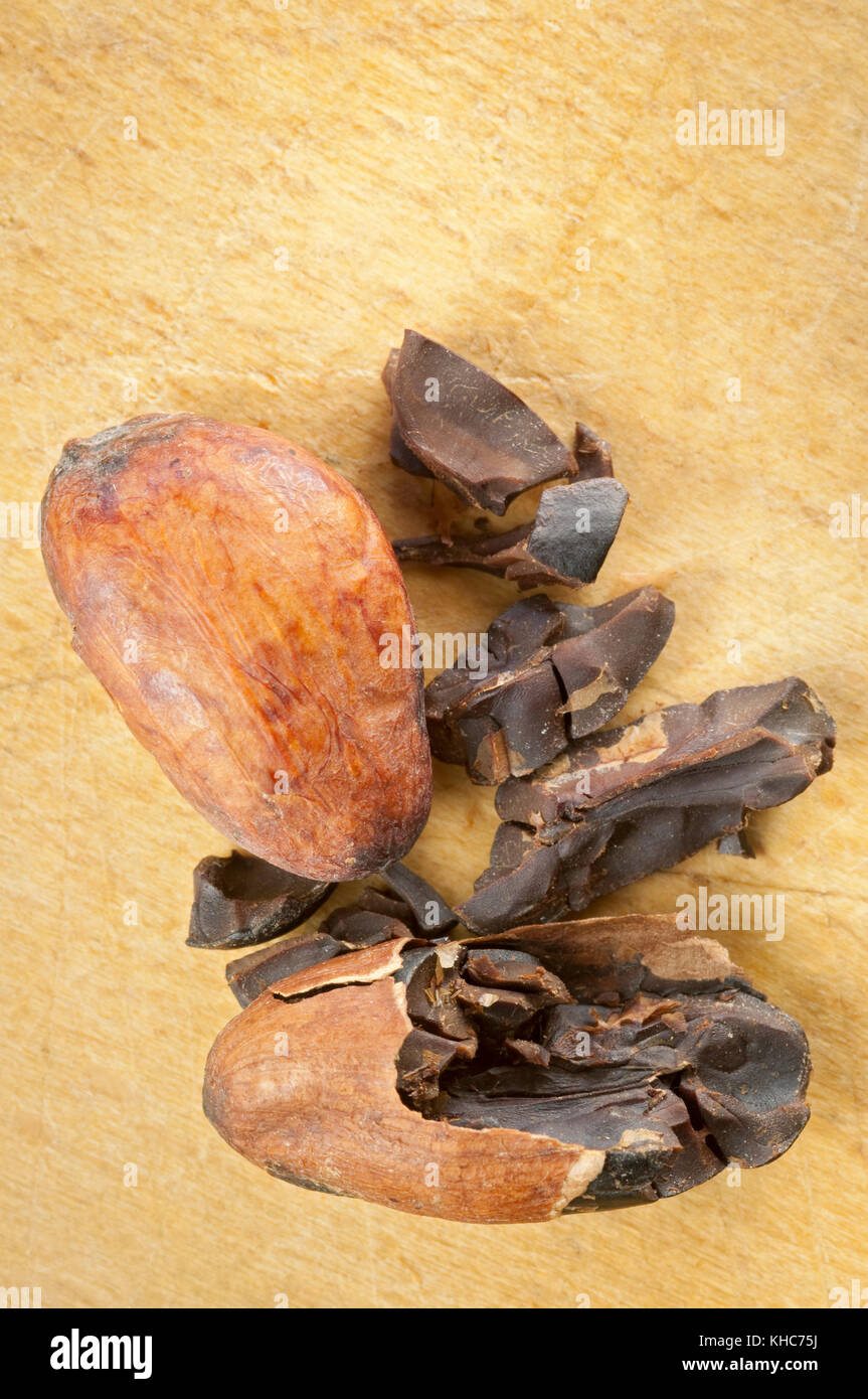 Cocoa Beans, Chocolate Ingredient Stock Photo Alamy