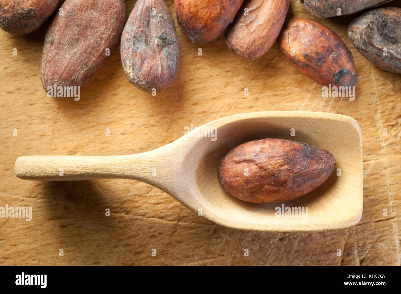 Cocoa Beans, Chocolate Ingredient Stock Photo Alamy