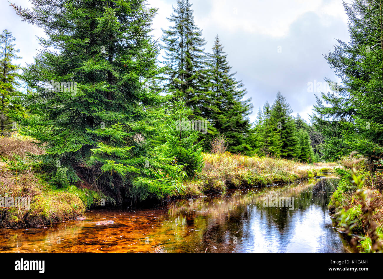 Closeup of red creek in Dolly Sods, West Virginia during autumn, fall