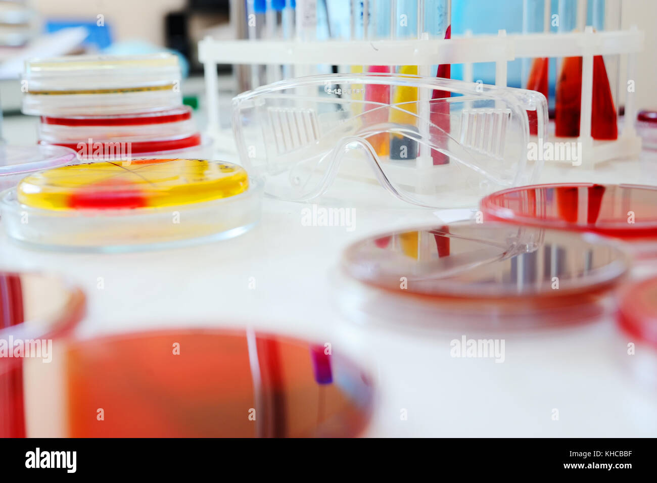 Petri dishes in the laboratory Stock Photo Alamy