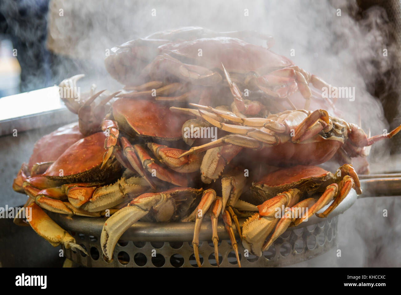 FISHERMANS GROTTO CRABS STEAMING Freshly cooked & steamed Dungeness