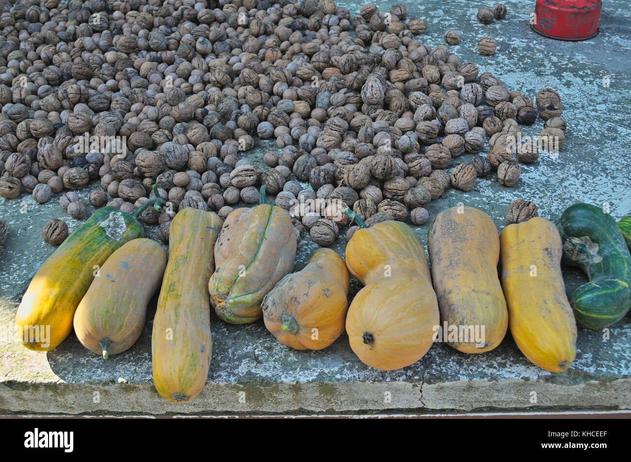 Fall harvest pumpkins hi-res stock photography and images - Alamy