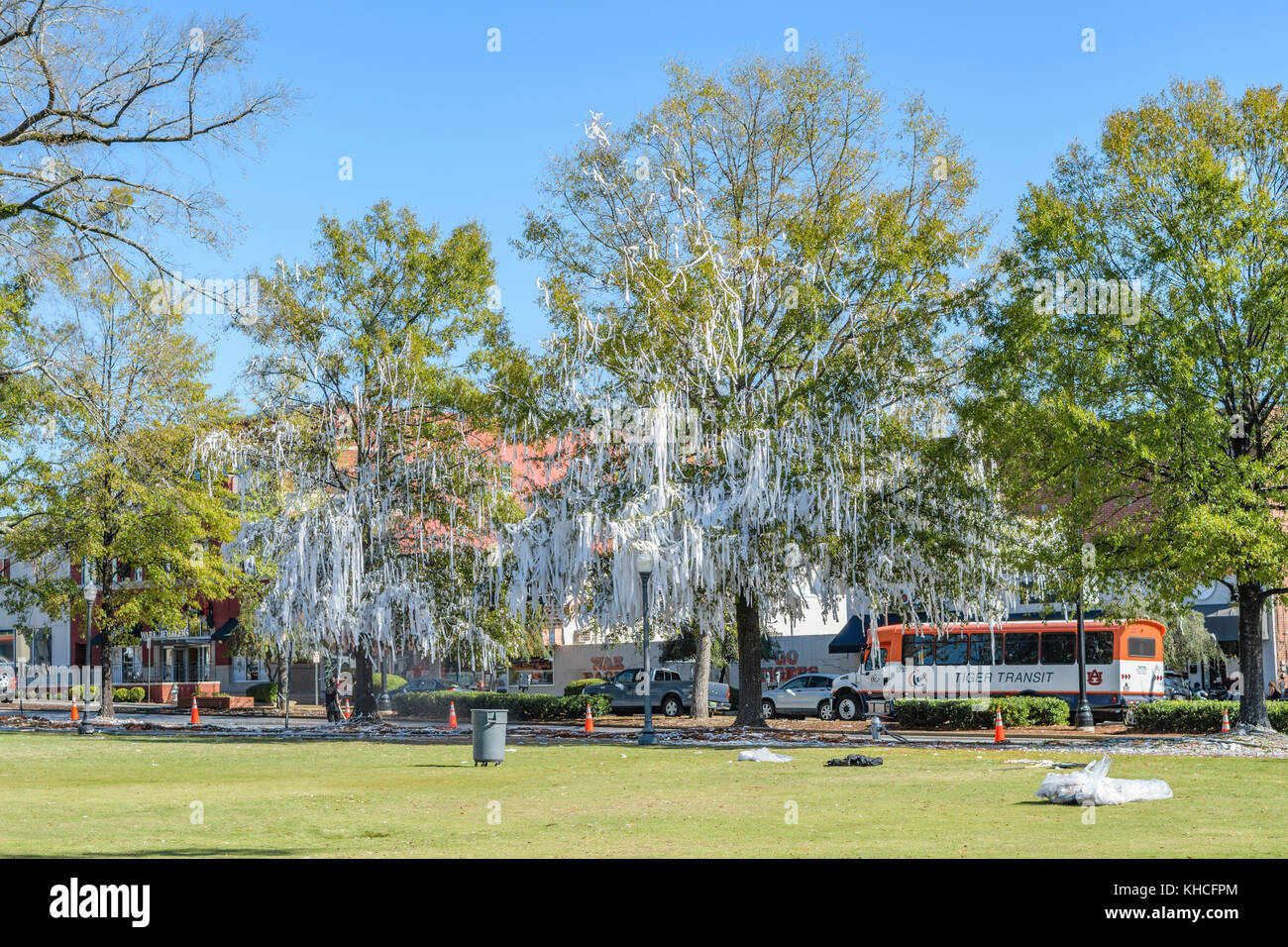 Clean up at Toomer's Corner, removing white toilet paper from the trees, after a win by Auburn University football team. Auburn Alabama, USA. Stock Photo