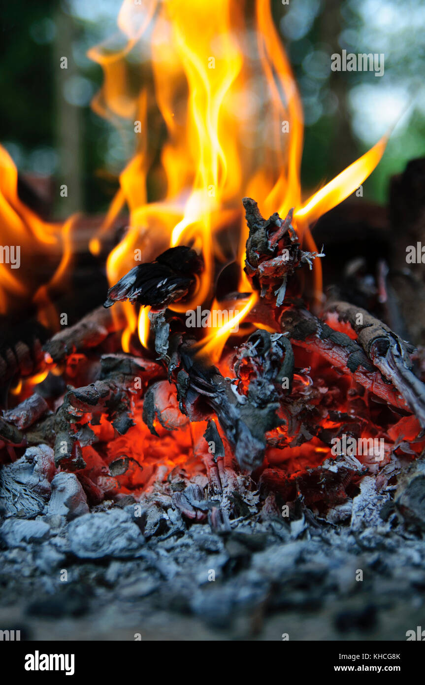 camp fire Stock Photo