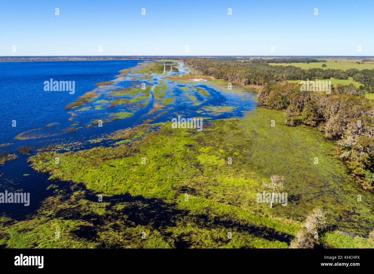 Florida,Kenansville,Cypress Lake,water,shore,trees,aerial overhead bird