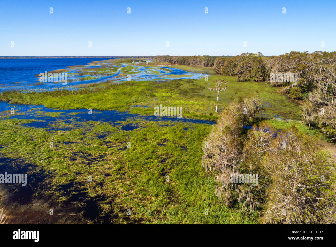 Florida,Kenansville,Cypress Lake,water,shore,trees,aerial overhead view,USA US United States America North American,FL17103015d Stock Photo