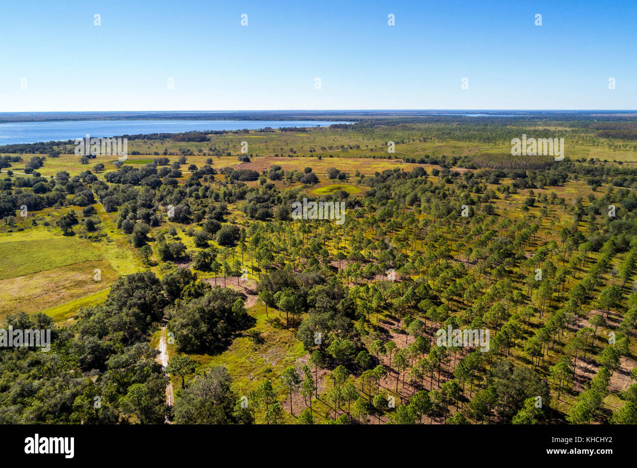 Florida,Kenansville,Lake Marian Highlands,Three Lakes Wildlife Management Area,Sunset Ranch Interpretive Trail,aerial overhead view,USA US United Stat Stock Photo
