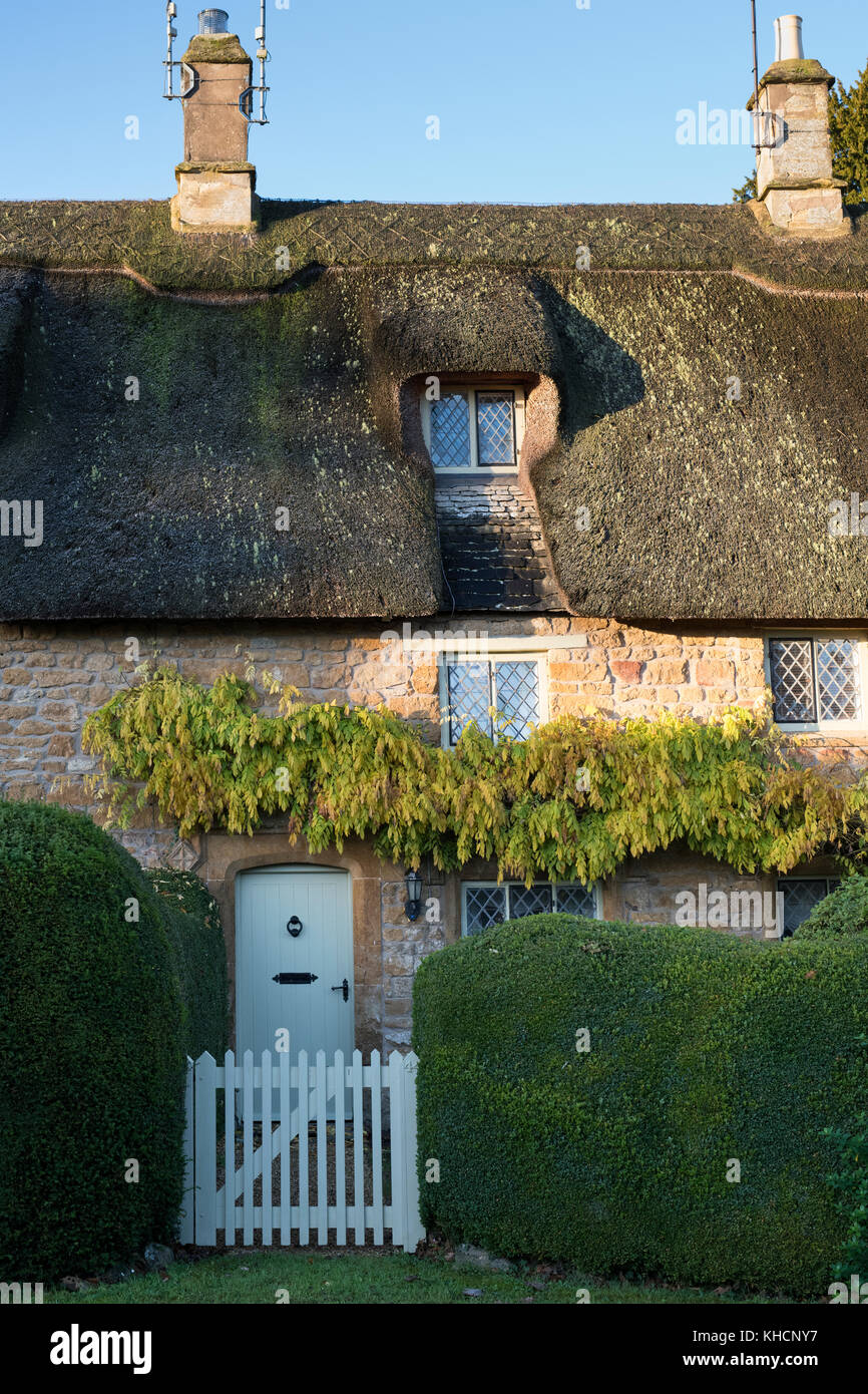 Morning sunlight on a thatched cottage in the cotswold village of Great Tew, Oxfordshire, England Stock Photo