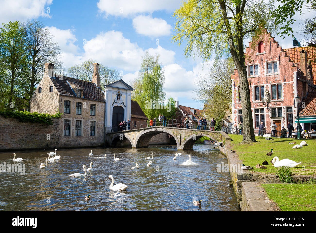 Bruges, Belgium April 17, 2017 Swans in lake of love in Bruges