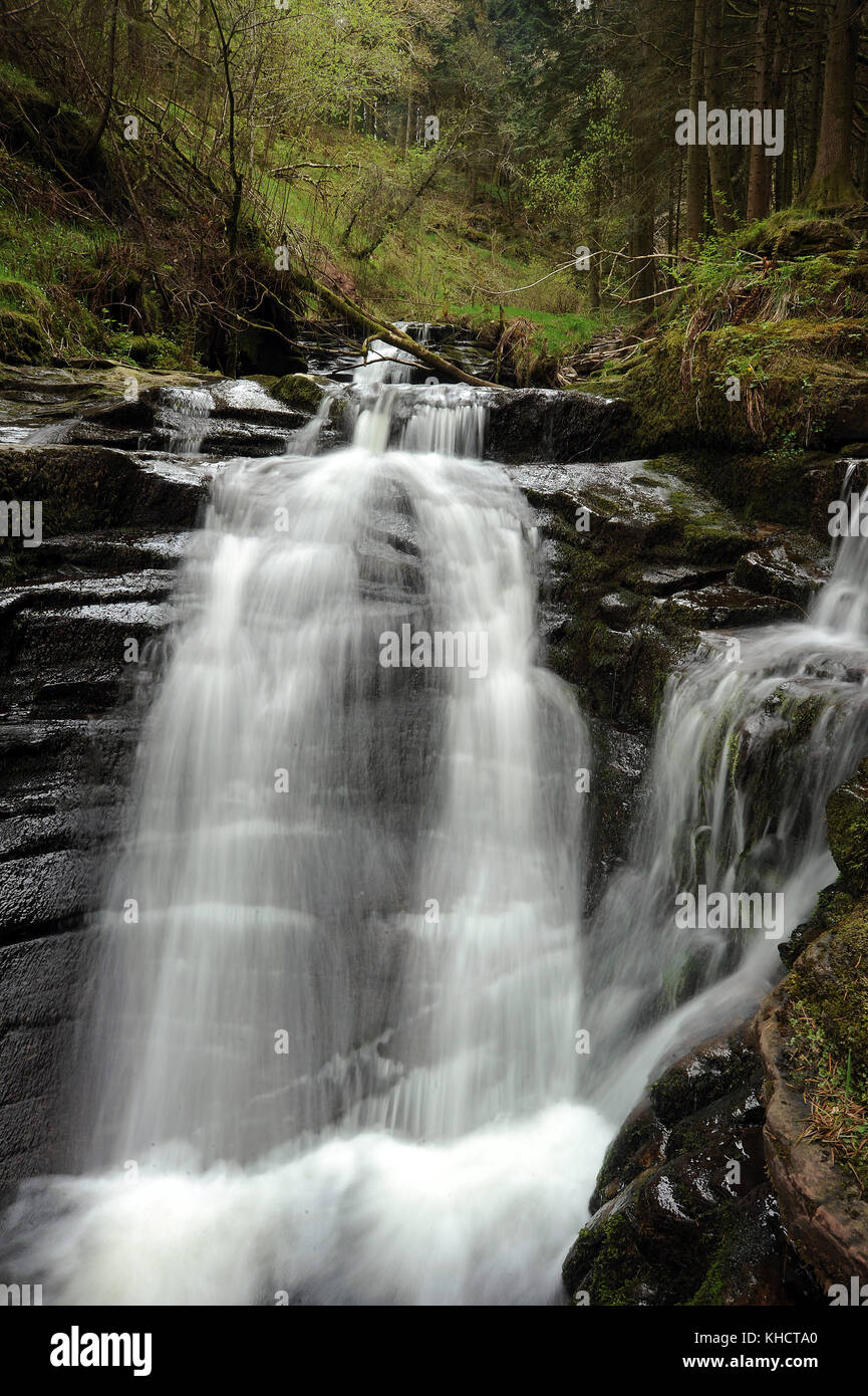 Small waterfall at the confluence of Nant Bwrefwr and its last tributary. Stock Photo