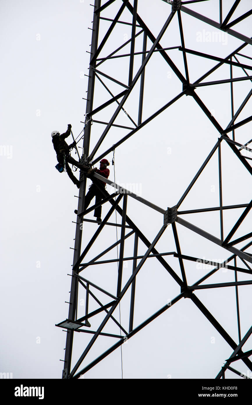 workers on the energy pole. A grid of newly installed energy pole with employees. autumn season Stock Photo