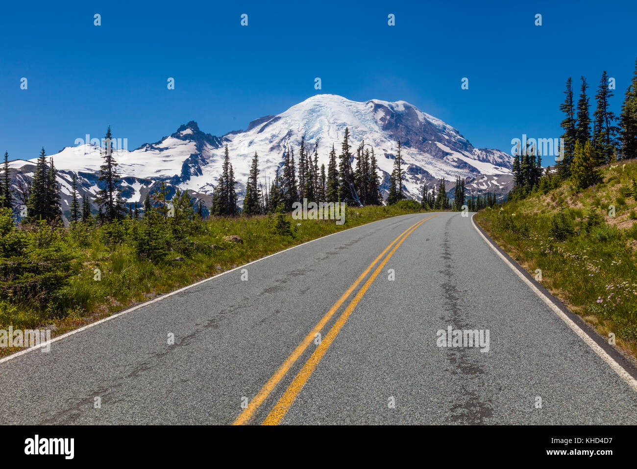 Road in Mount Rainier National Park in Washington United States Stock Photo