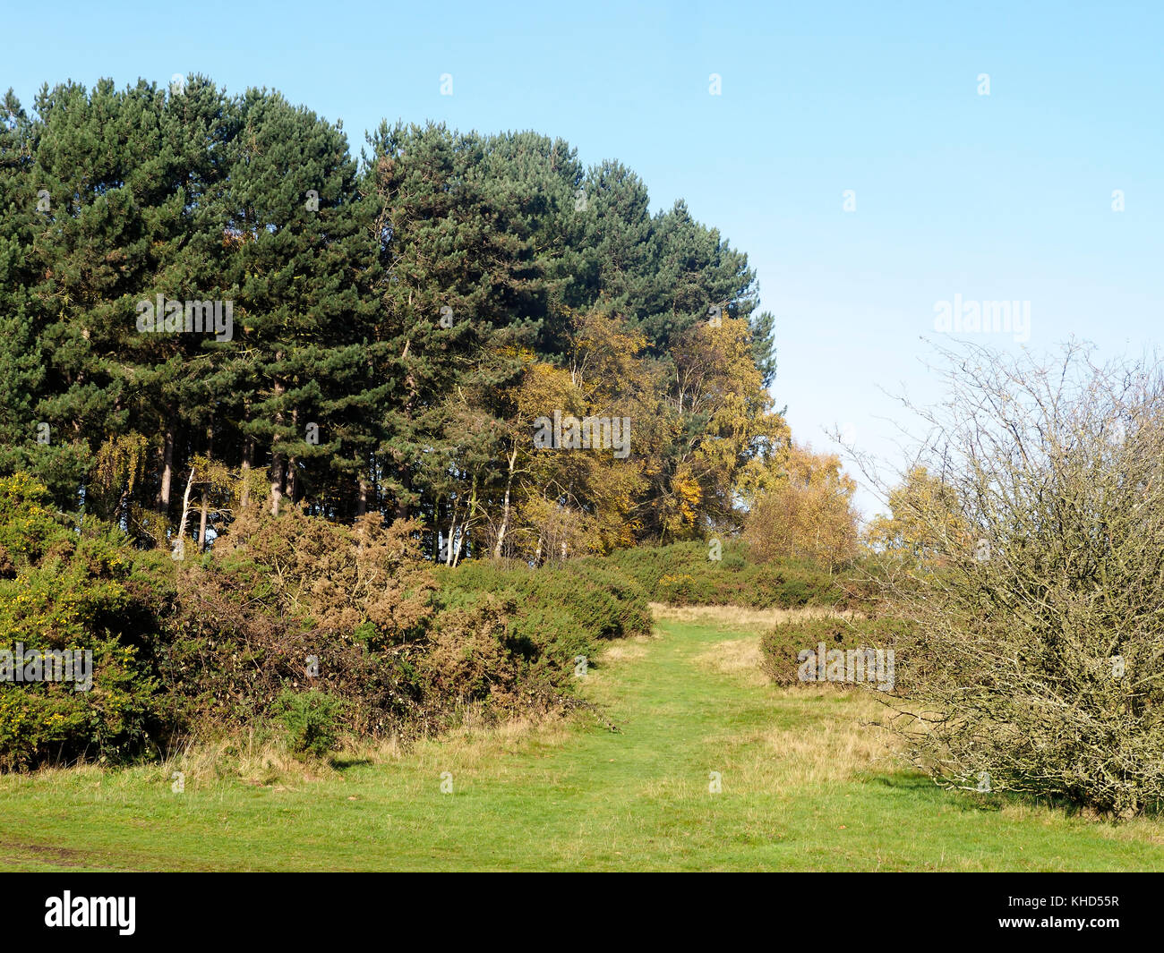 Sutton Park, Sutton Coldfield, West Midlands Stock Photo - Alamy