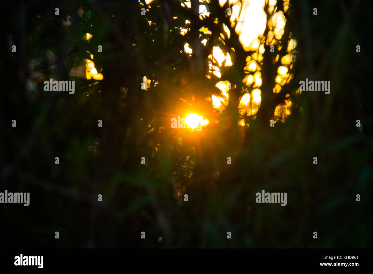 Reserva Ecológica, Buenos Aires, Argentina Stock Photo Alamy