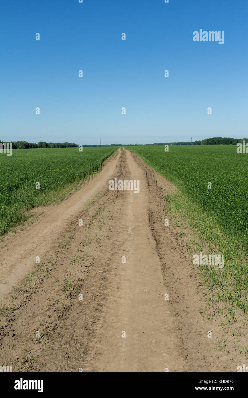 Road in the field Stock Photo - Alamy