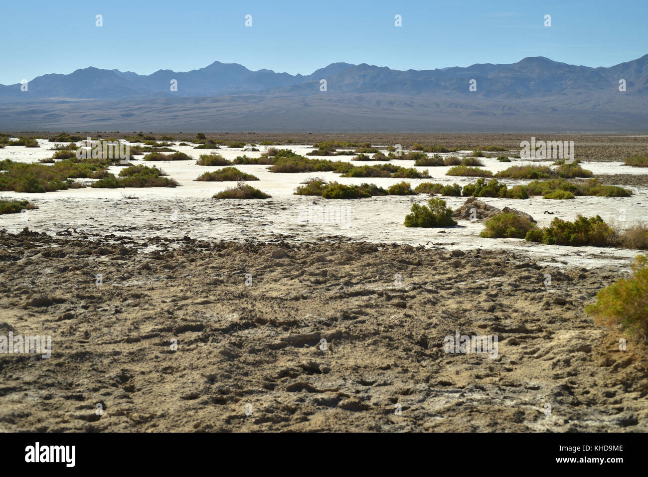 people walking Salt Flats Death Valley Stock Photo - Alamy